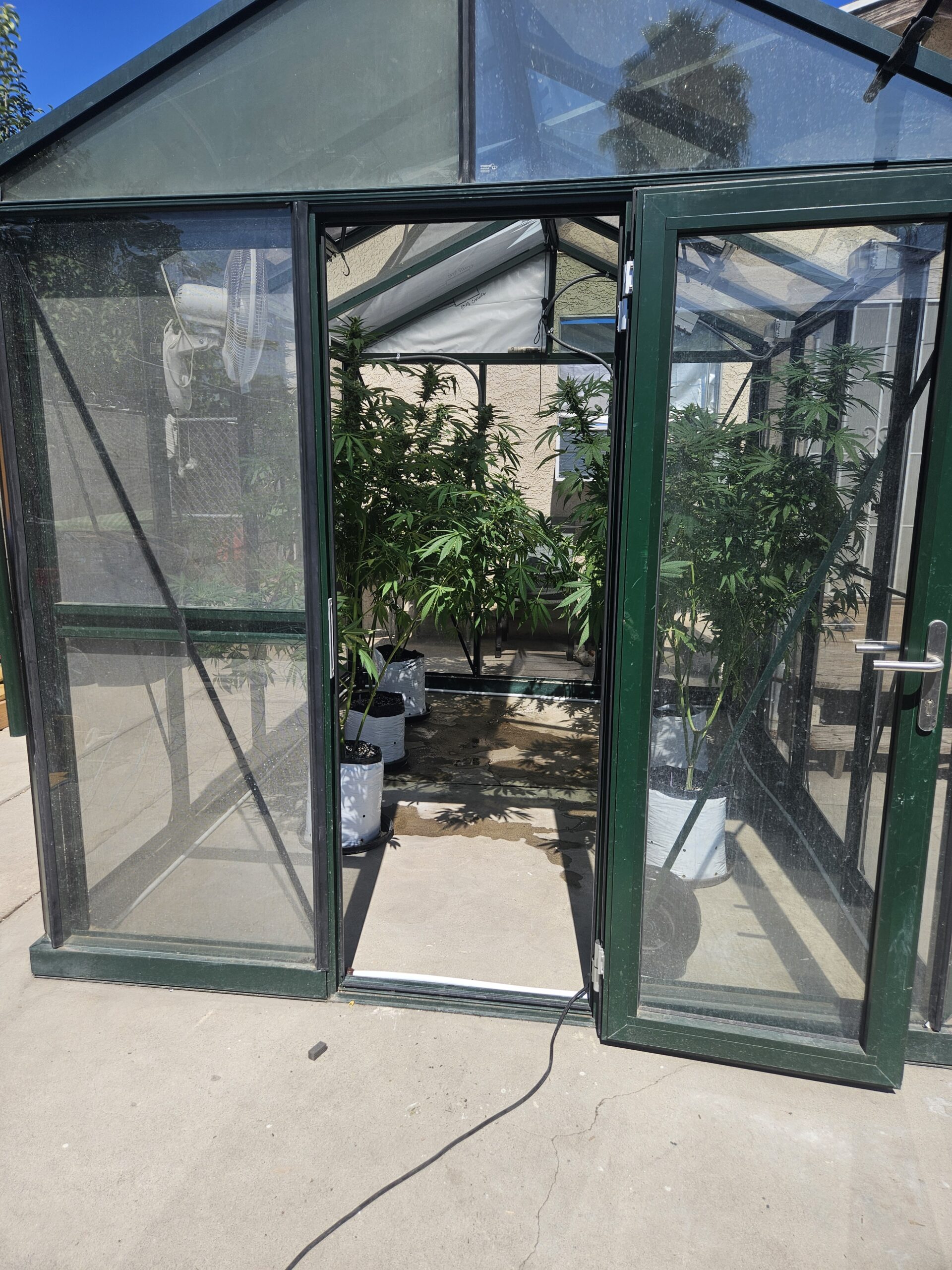 VI23 Royal Victorian Greenhouse (Green) - Image 4