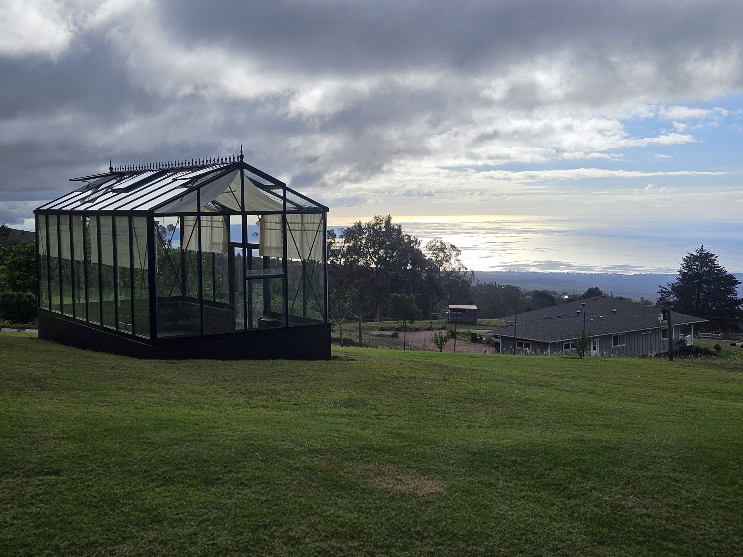 VI36 Royal Victorian Black - Image 2