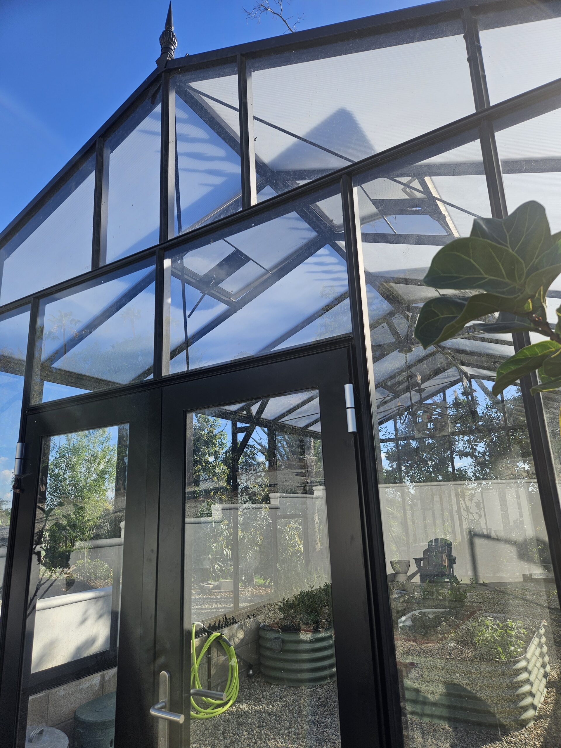 VI34 Victorian Hybrid Black Greenhouse - Image 6